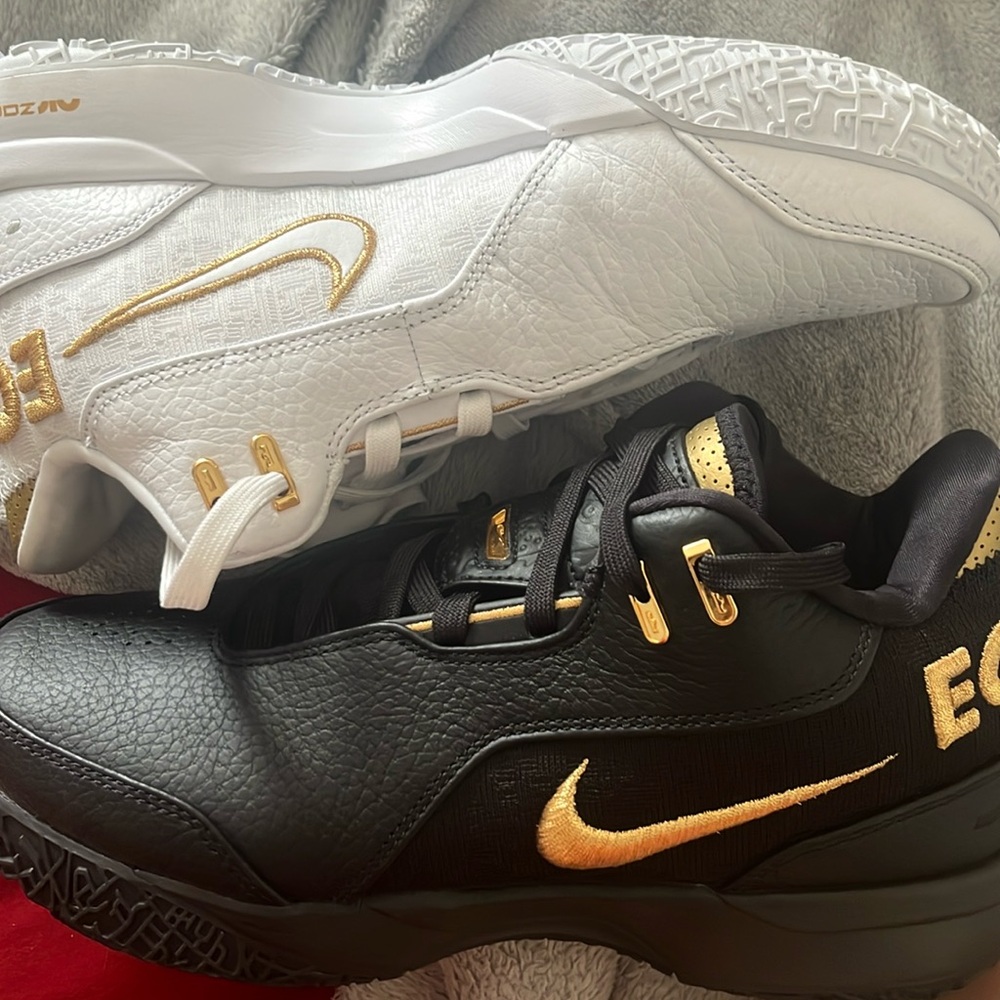 Black and white LeBron’s